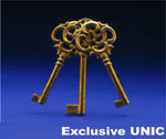 Exclusive UNIC